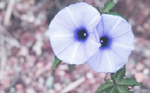 �������а����g(sh��)�̰�