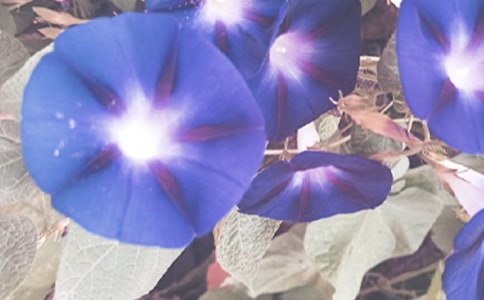 ����������