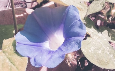 ����(y��u)�㠿�����^��ӛ���ӛ��ͨ��15ƪ��