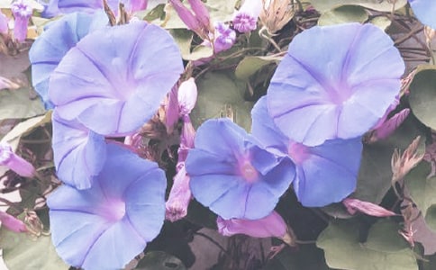 �а����g(sh��)�������̰�