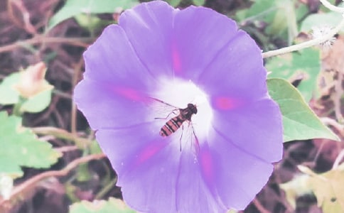 ��������200�֣�������