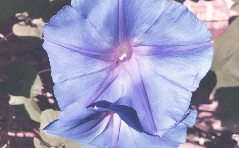 �а����g(sh��)�`�ŵĠ������̰�