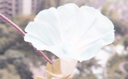 ������ɢ���S�P