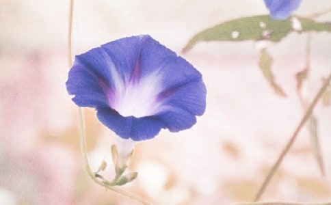 �P(gu��n)���茑���������ӵ����ģ�ͨ��109ƪ��