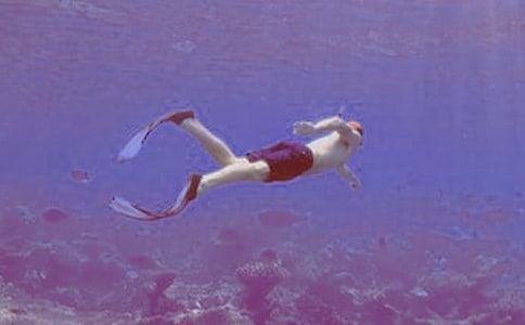 潛水艇魚的簡介-潛水艇魚的體型特征