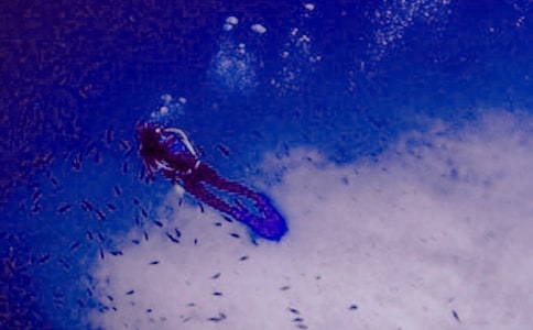 ���Ý�ˮ����ͬ