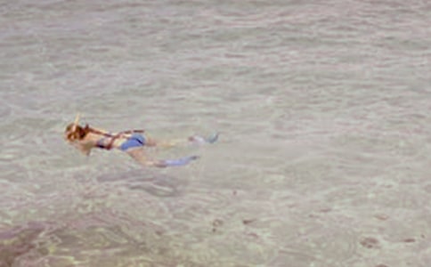 租用潛水船及潛水人員合同范本