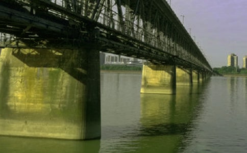 友誼的橋梁作文600字四篇