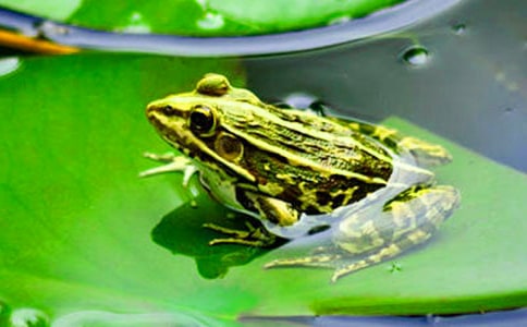 ���ܵ�����