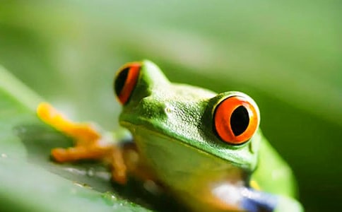 �P(gu��n)�����ܵ���ӛ