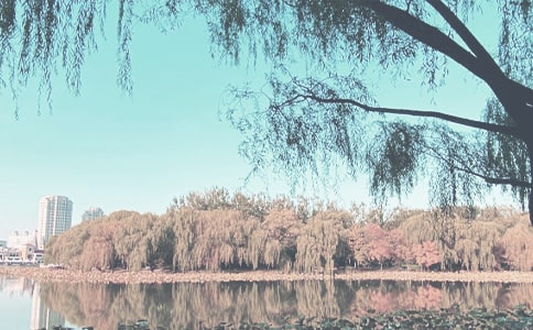 秋季育兒保健常識(shí)是什么