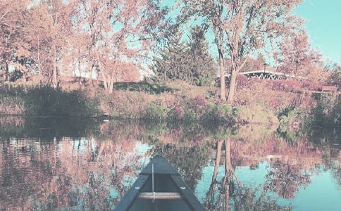 秋季學(xué)生期末評(píng)語