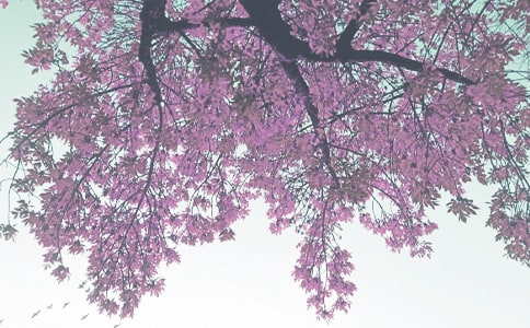 �＾С�W(xu��)�W(xu��)���u(p��ng)�Z(y��)����11ƪ