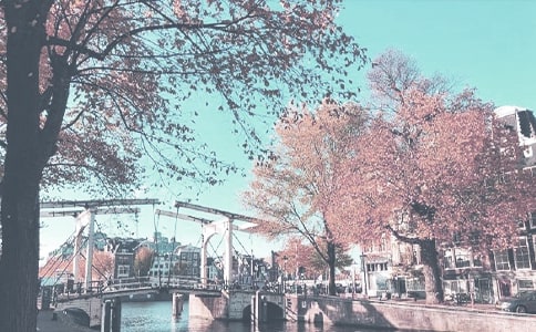 10干事2010-2011秋季工作總結(jié)選登-陸凱俊