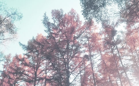 �＾�W(xu��)��С�W(xu��)���u�Z