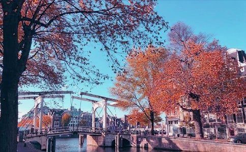 給秋日涂上一抹色彩作文