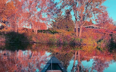 關(guān)于秋日的作文(通用44篇)