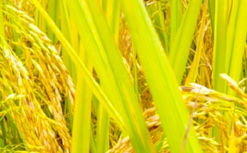 ���յ�����(�ϼ�7ƪ)