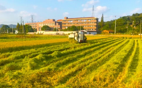 ���յ�����(15ƪ)