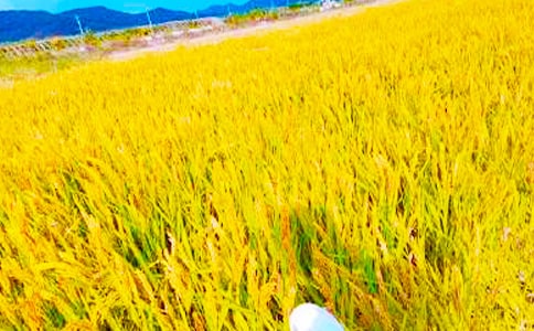 �l(xi��ng)�(zh��n)���յĺ�(ji��n)��(b��o)14ƪ