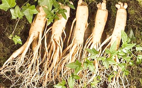 �˅�����ô��