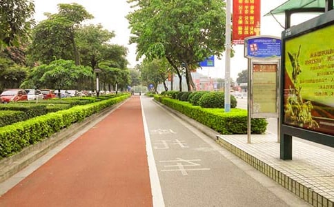 昆明市人行道綠化現(xiàn)狀及建議