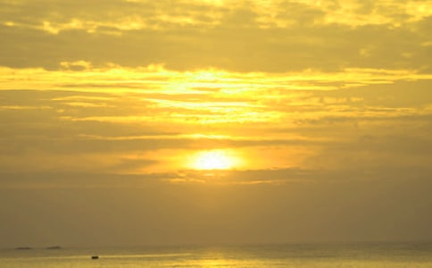 �P���ճ�������[��(j��ng)��15ƪ]