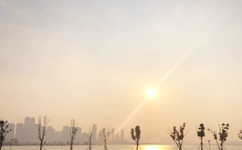 關于日出的作文14篇