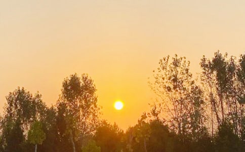 日出的作文(集合15篇)