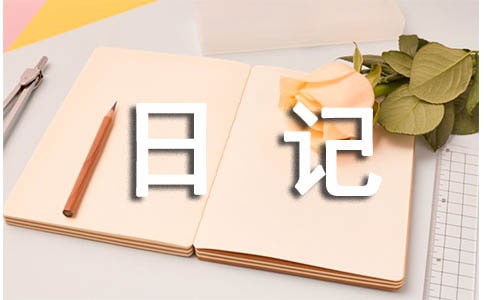 從事室內(nèi)裝飾設(shè)計(jì)的心得日記