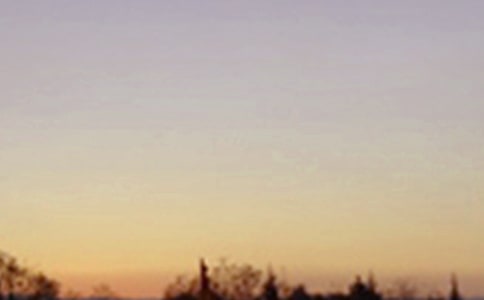 ���x�������������ĺϼ�5ƪ