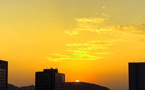 �茑����ľ���