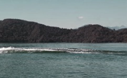 ������̶�Ă��f(shu��)���ڶ��n�r(sh��)