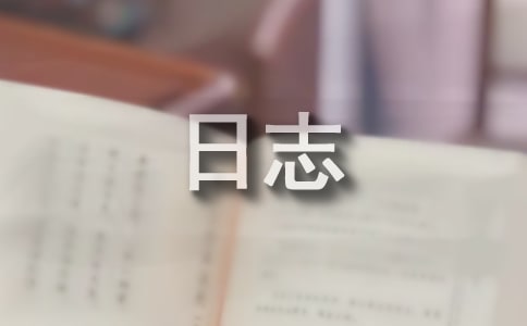 社工走訪日志