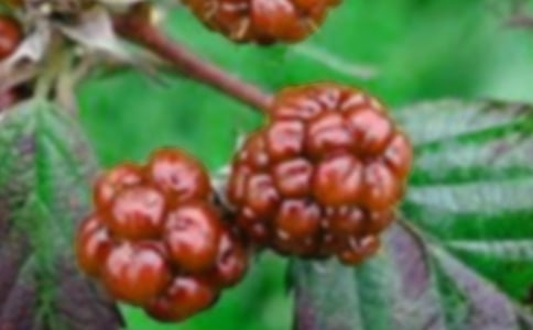 ժɣ�����(d��ng)���˼���c�ի@