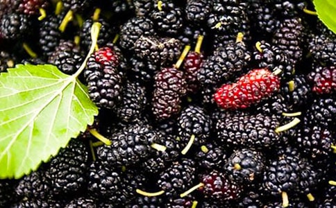 ժɣ��С�W����