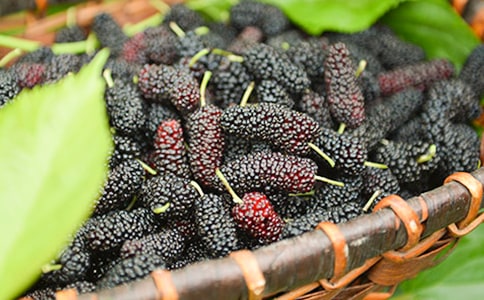 ժɣ������450��