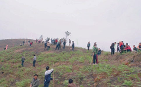 ���ģ���Ĺ