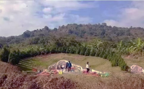 關(guān)于掃墓作文(通用47篇)