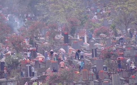 ȥ��Ĺ_��Ĺ����550��