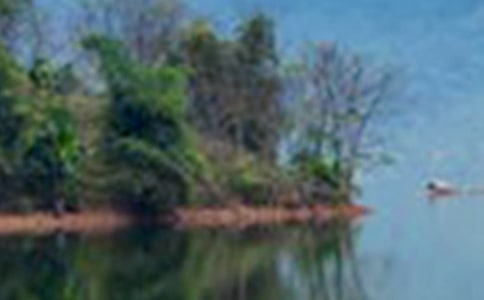 �P(gu��n)��ɽˮ����