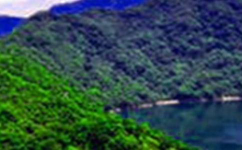 山水知音作文600字