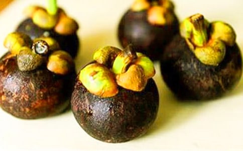 美麗的茶山竹海作文