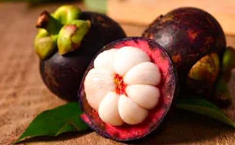 ���˵Ĳ�ɽ������