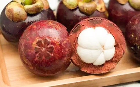 游南山竹海作文15篇