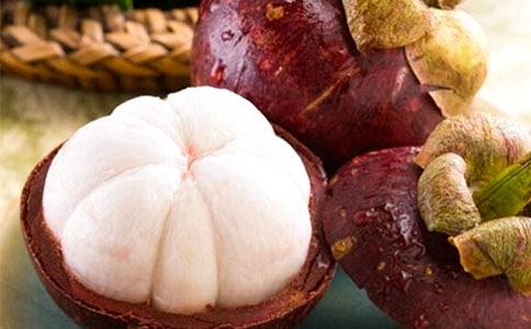 游南山竹海高三作文