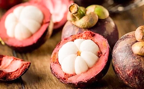 描寫(xiě)山竹的小學(xué)生作文