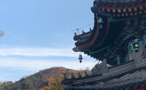 �����x��������ǧ������500��4ƪ