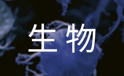 生物生態(tài)系統(tǒng)的課程教案