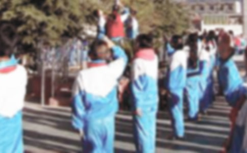 小學(xué)生升國旗日記80字(精選29篇)